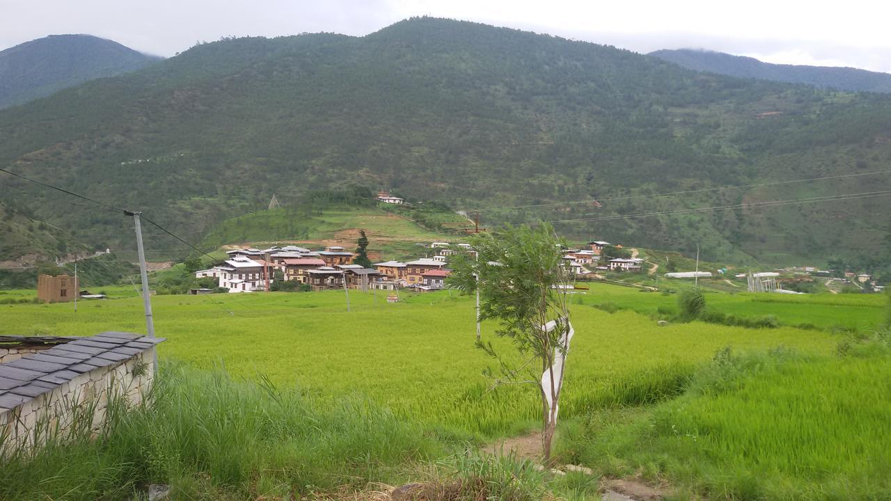 Chimi Lhakhang Village Homestay Punākha Exterior photo