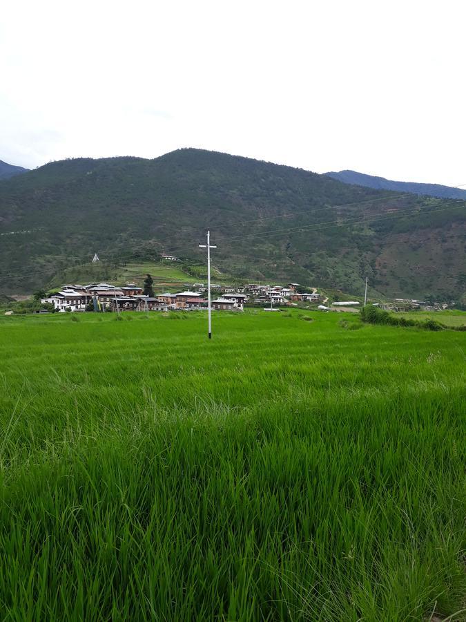 Chimi Lhakhang Village Homestay Punākha Exterior photo